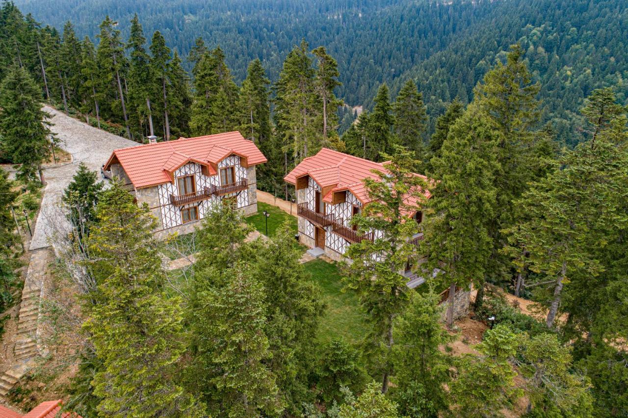 Foleya Mountain Resort Hotel & Villas Трабзон Екстер'єр фото