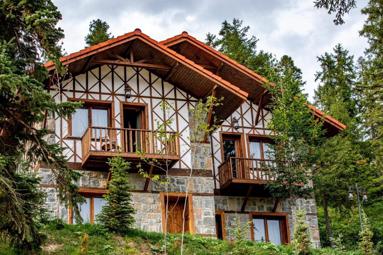 Foleya Mountain Resort Hotel & Villas Трабзон Екстер'єр фото
